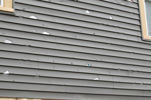 Best Construction Debris Removal  in Zeeland, MI
